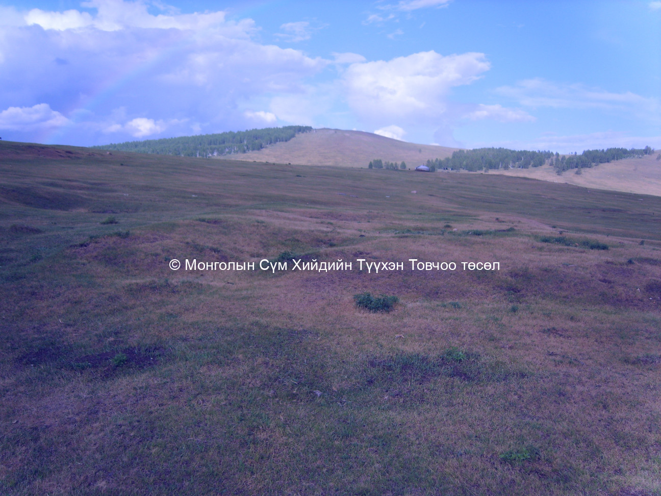 Буруун талаас авсан